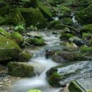 지혜의 샘 이미지