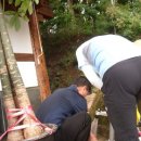 다정매점 이미지