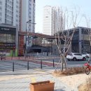 고운동_고운동(마음로) 이미지