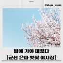 엉클스파스타 | 2026 군산 은파 벚꽃 야시장 완벽 가이드 / 일정, 먹거리, 주차, 데이트 코스 총정리