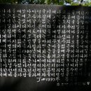경남 고성군 마암면 두호리 두호마을숲 [성산(광평)이씨]:우리 성산이씨 도용 이미지