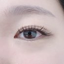 골드눈썹 이미지