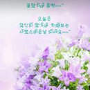 느리게살자