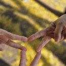 은행나무시장 3 | 아산 가볼 만한 곳 1박2일｜가을 은행나무 길·전통시장 맛집·자연휴양림 숙소