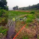 상리농장 이미지