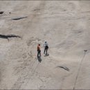 자연의향기 이미지