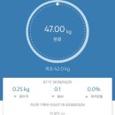 써브웨이 영천점 | 스위치온 다이어트 11일차 | 첫 단식 후기