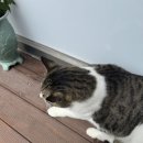 CU 덕적도점 이미지