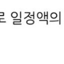 소문난네 이미지