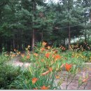 주은 자연휴양림 이미지