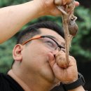 뻐꾸기 번식기법 &amp; 생낙지 통채로 잡숴보실라우?*^^ 이미지