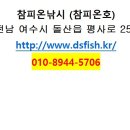 참피온낚시 이미지