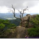 상원골민박 이미지