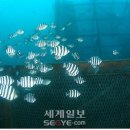 해군목장 이미지