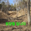 나눔택배후 애마보험입금 몇곳 상황산행.257 (귀가시 또 나눔) 이미지