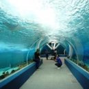 New Ocean Media
