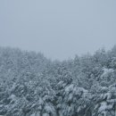 한계령의아침 이미지