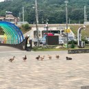 오리떼 편의점 이미지