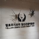 (주)옐로우지브라 이미지