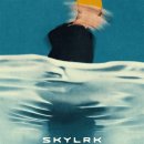 비니하니하우스 | 저스틴 비버의 현재 | 코첼라 SKYLRK 팝업 구매 후기, 스카이라크 후드, 스카이라크 후드 집업 리뷰