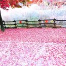 피재골약수터 이미지