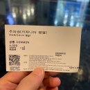 50 | 키자니아 네이버페이 50% 할인 예약 후기