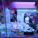 혜자 인형뽑기 | 잠실 오락실 6곳 싹 다 돌아본 후기, 잘 뽑히는 인형뽑기집