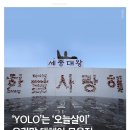 국립국어원:YOLO의 우리말 대체어 이미지