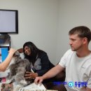 마린숲 동물병원 이미지