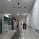스테이동백 | 국가대표 관장님과 직접 복싱할 수 있는 곳 찾으세요? 복싱스테이 용인동백점 후기