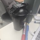 11545-12-09-01 | 생존 신고(01/09-01/12)