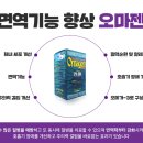 슈바이쯔 이미지