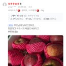 이서민헤어 | 단발머리 헤어컷 보브컷, 먼치페퍼 시식, 엄마집 ft. 좋은날🌸