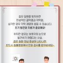 고양이속눈썹 이미지
