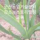 남화농장 이미지