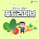 리퍼브 이미지