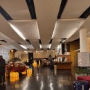 울산공항 화장실 | 밀라노 말펜사 공항 쉐라톤 호텔 1박, 루프트한자 프랑크푸르트 경유 후기