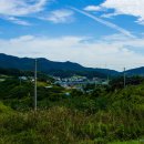 덕고개주유소 이미지