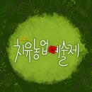 마리면-33 네이버블로그