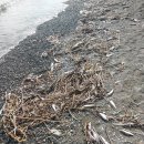 진동시장 이미지