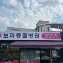 보라종합동물병원 | 경기도 처인구 보라종합동물병원, 후기, 위치, 리뷰