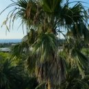 용석농장 이미지