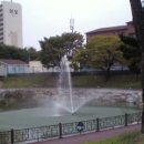 연풍장 Daum카페