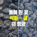 석화로 이미지