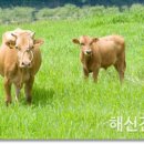 토종건강원 이미지