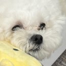 (주)원유니버스 이미지