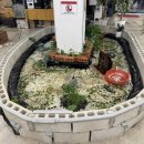 대복장어마을 이미지