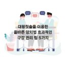 대왕이용