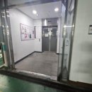 제주돌돗