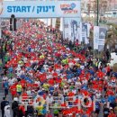 봄의언덕 이미지